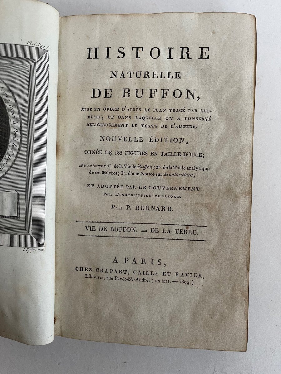 Histoire Naturelle De Buffon En 11 Volumes -photo-3